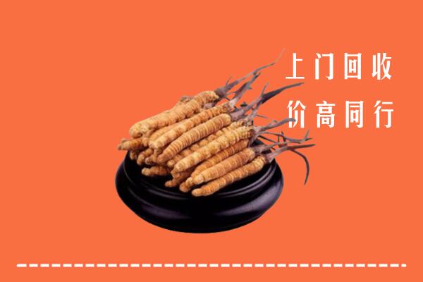 高价求购：琼中回收散虫草