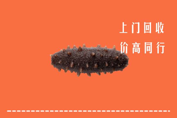 高价求购：琼中回收海参